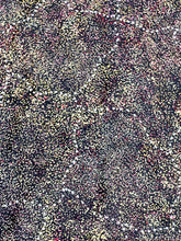 Load image into Gallery viewer, &quot;Bush Plum&quot; Roseanne Morton Petyarre 199cm x 127cm
