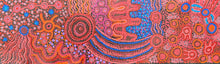 Load image into Gallery viewer, &quot;Mamungari-Nya&quot; Renae Nakamarra Nelson 60cm x 17cm
