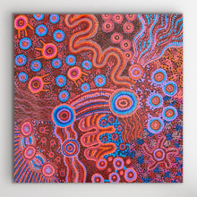 Load image into Gallery viewer, &quot;Mamungari-Nya&quot; Renae Nakamarra Nelson 60cm x 60cm
