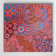 Load image into Gallery viewer, &quot;Mamungari-Nya&quot; Renae Nakamarra Nelson 60cm x 60cm
