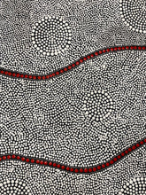 Load image into Gallery viewer, &quot;Bush Plum&quot; Nancy Martin Napangarti 195cm x 89cm
