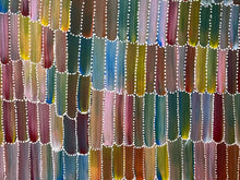 Load image into Gallery viewer, Close up 2 of Jeannie Mills Yam Dreaming artwork
