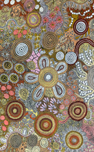 Load image into Gallery viewer, &quot;Budgerigar &amp; Bush Tucker Story&quot; Julieanne Nungurrayi Turner 140cm x 86cm
