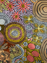 Load image into Gallery viewer, &quot;Budgerigar &amp; Bush Tucker Story&quot; Julieanne Nungurrayi Turner 140cm x 86cm
