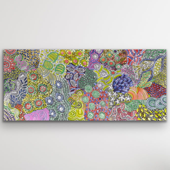 Wide Awelye Aboriginal artwork by Karen Bird Ngale with colourful ceremonial designs