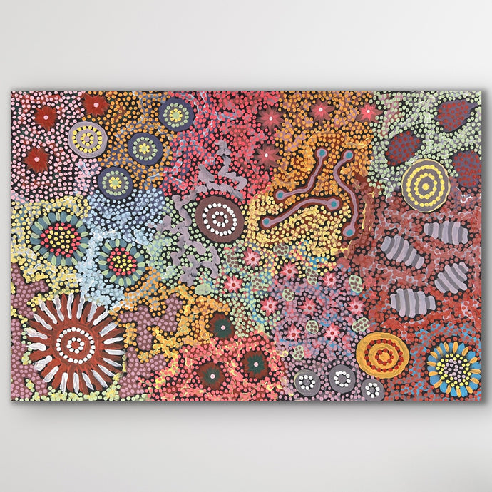 An intricate canvas alive with layered colour and pattern, illustrating Yuelamu Country and its sacred sites.