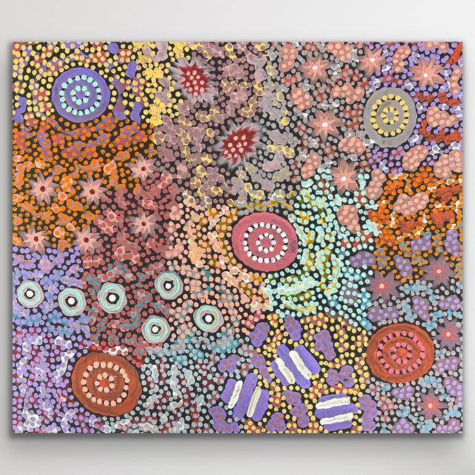 An intricate canvas alive with layered colour and pattern, illustrating Yuelamu Country and its sacred sites.