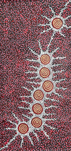 Load image into Gallery viewer, Michelle Possum Red Seven Sisters Dreaming Art by Farquhar
