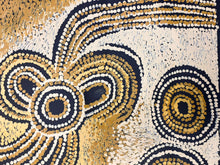 Load image into Gallery viewer, Minyma Malilu – Teresa Baker Authentic Aboriginal Art 50cm x 40cm | APY Story Painting
