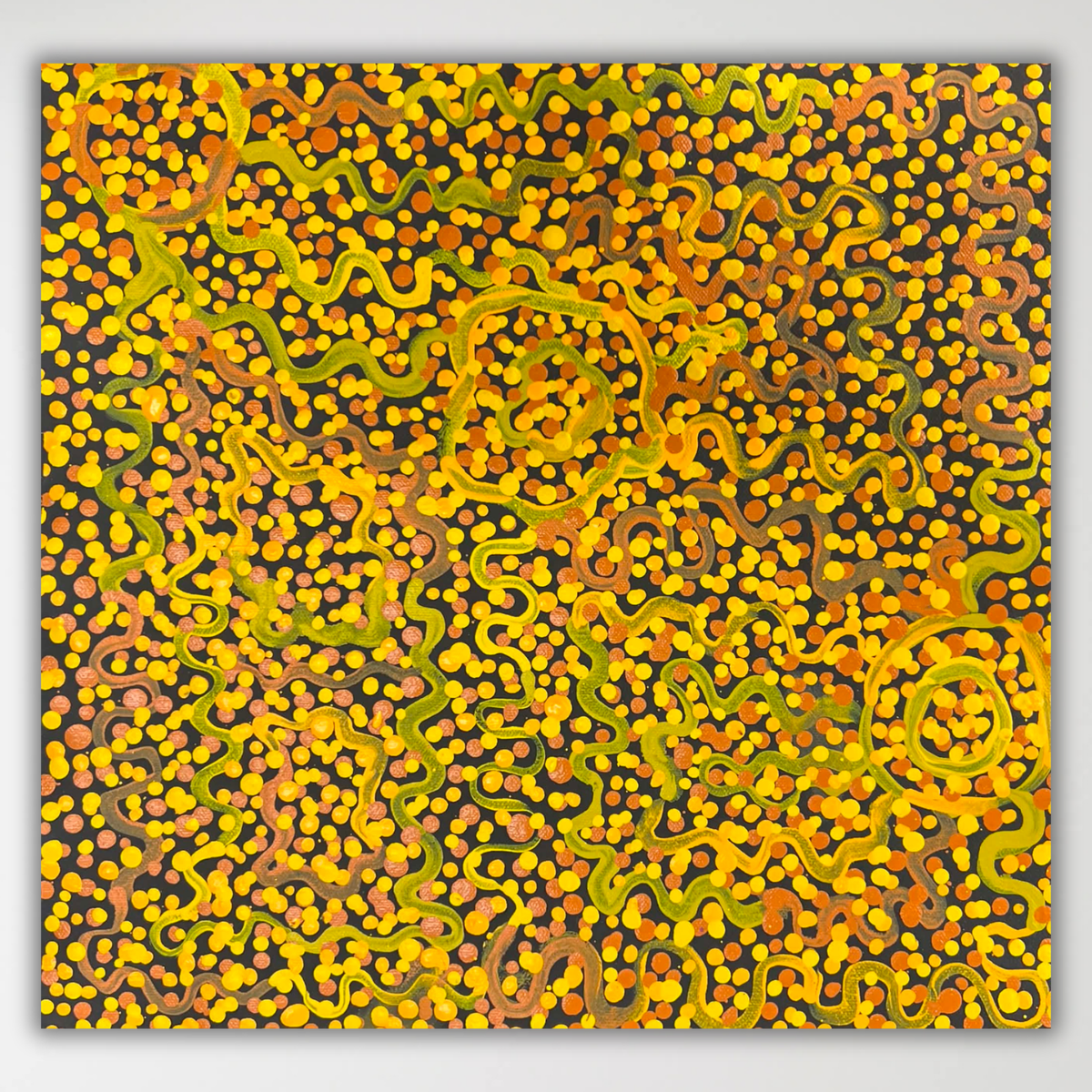 "My Father's Country (Pukatja)" Rachel Lyons 30cm x 30cm
