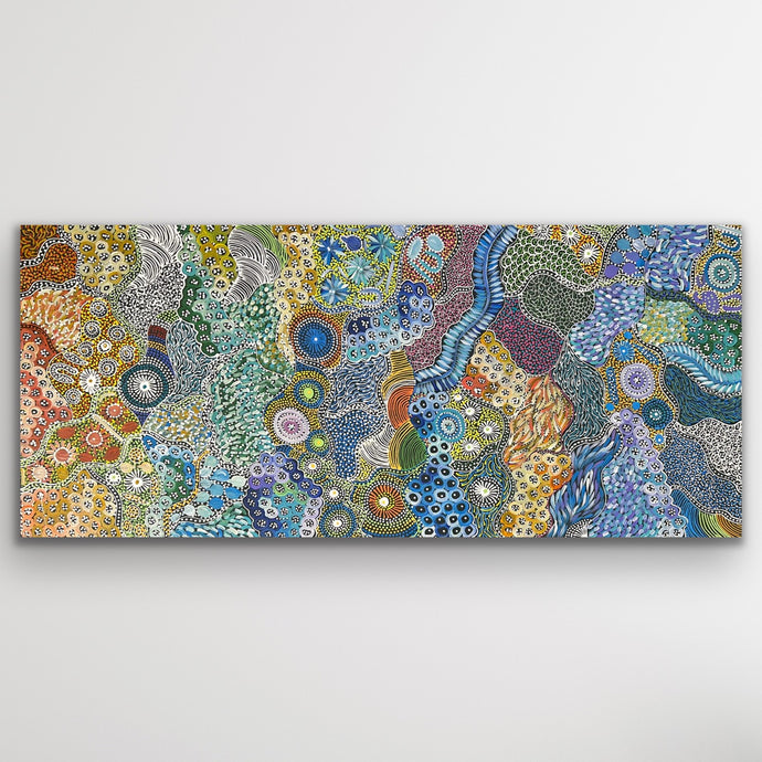 My Country Utopia Aboriginal artwork by Janet Golder Kngwarreye showing aerial perspective and cultural symbols of Utopia country