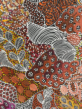 Load image into Gallery viewer, My Country (Utopia) Janet Golder Kngwarreye 201cm x 87cm colourful close up with browns, whites, yellows and oranges

