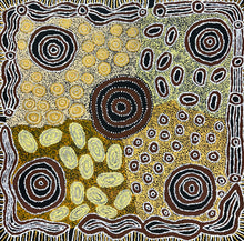 Load image into Gallery viewer, Original Aboriginal painting My Country Bronwyn Jimmy
