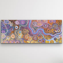 Load image into Gallery viewer, Full canvas of Pilitati Tjukurpa Aboriginal artwork showing Dreaming story.
