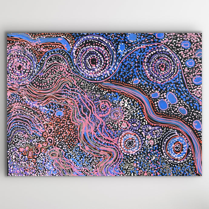 Horizontal format image of Aboriginal painting Piltati Tjukurpa by Rhoda Tjitayi
