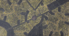 Load image into Gallery viewer, Close up of Bush Plum Aboriginal painting by Roseanne Morton showing layered designs

