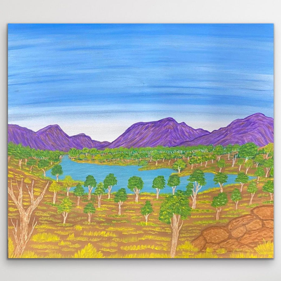 "Landscape of the Country" original Aboriginal painting by Sammy Tunkin, 60cm x 50cm - authentic Indigenous Australian artwork