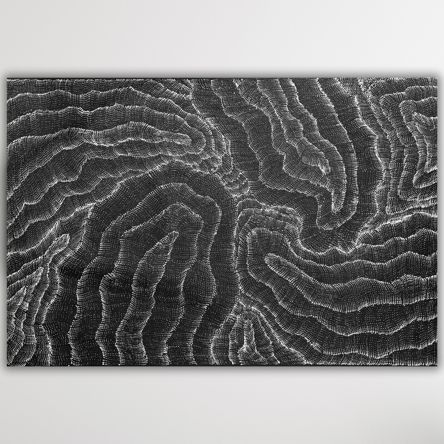 Black and white sand dunes debbie brown 