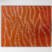 Load image into Gallery viewer, Sand Dunes Debbie Brown Horiztonal red ochre
