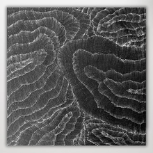 Load image into Gallery viewer, Black and white sand dunes debbie brown square
