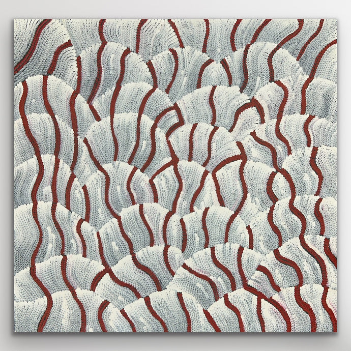 Original Aboriginal artwork with red and white sand dune patterns by Maureen Nampijinpa Hudson