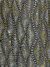 Load image into Gallery viewer, Detail of Aboriginal Seed Dreaming painting by Marshall Jangala Robertson, 90cm x 44cm, intricate monochromatic dot work reflecting culture and Country.
