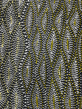 Load image into Gallery viewer, &quot;Seed Dreaming&quot; Marshall Jangala Robertson 90cm x 44cm detail view australia artwork detailed yellow and white dot painting central desert artwork

