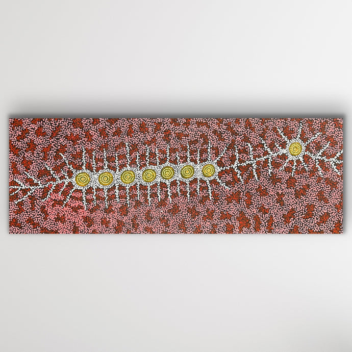 Horizontal view of Seven Sisters Dreaming Aboriginal painting by Michelle Possum Nungurrayi
