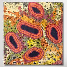 Load image into Gallery viewer, "My Country" Francie Ingkatji 60cm x 58cm
