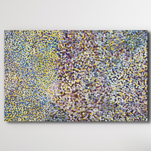 Load image into Gallery viewer, Bessie pitjara Bush Plum multicolored dots on a Black background
