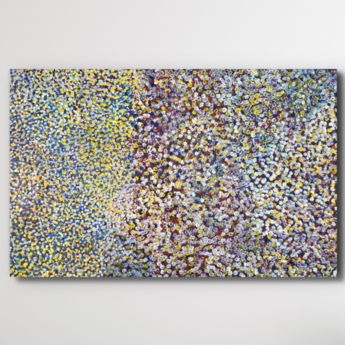 Bessie pitjara Bush Plum multicolored dots on a Black background