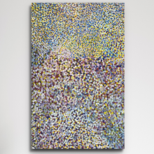 Load image into Gallery viewer, Bessie pitjara Bush Plum 
