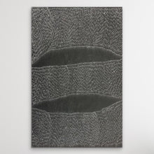 Load image into Gallery viewer, Cropped vertical image showing fine textured dot patterns and soft gradations representing the desert’s shifting sands.
