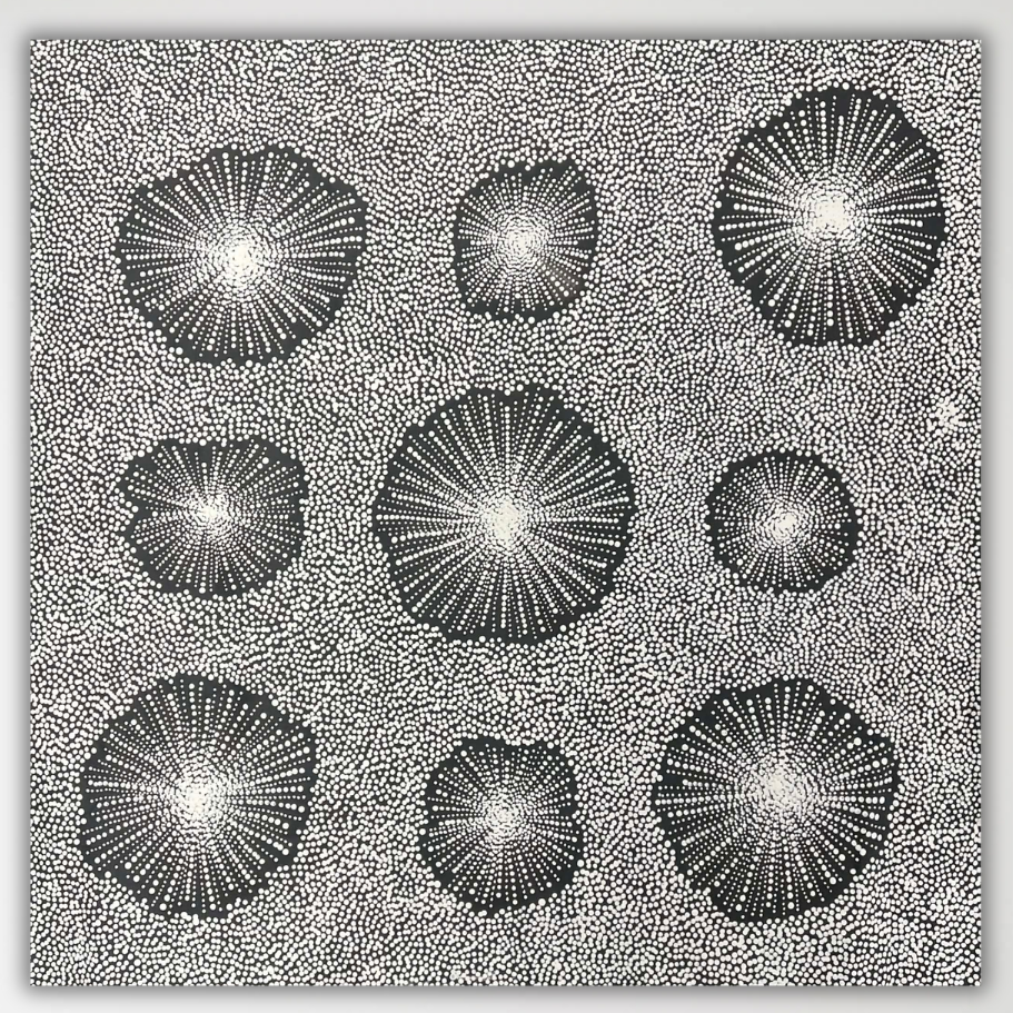 "Water Dreaming" Chantelle Nampijinpa Robertson 97cm x 98cm