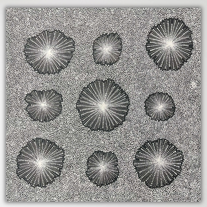 "Water Dreaming" Chantelle Nampijinpa Robertson 98cm x 97cm