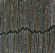 Load image into Gallery viewer, "Water Dreaming" Chantelle Nampijinpa Robertson 116cm x 59cm close up
