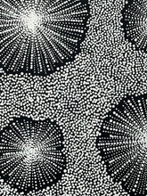 Load image into Gallery viewer, Close up dotwork "Water Dreaming" Chantelle Nampijinpa Robertson 97cm x 98cm
