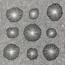 Load image into Gallery viewer, "Water Dreaming" Chantelle Nampijinpa Robertson 97cm x 98cm full image 
