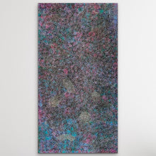 Load image into Gallery viewer, &quot;Bush Plum Seeds&quot; Roseanne Morton Petyarre 110cm x 200cm
