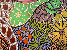 Load image into Gallery viewer, &quot;Budgerigar Dreaming&quot; Julieanne Nungurrayi Turner 63cm x 35cm
