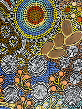Load image into Gallery viewer, &quot;Budgerigar Dreaming &amp; Bush Tucker&quot; Julieanne Nungurrayi Turner 140cm x 88cm
