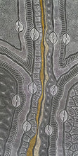 Load image into Gallery viewer, &quot;My Country&quot; Delvine Pitjara 212cm x 105cm
