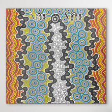 Load image into Gallery viewer, "Mina Mina Country" Vivienne Nakamarra Kelly 59cm x 62cm
