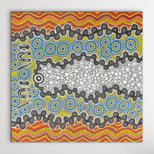 Load image into Gallery viewer, "Mina Mina Country" Vivienne Nakamarra Kelly 60cm x 62cm
