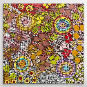 "Budgerigar Dreaming" Julieanne Turner Nungurrayi 62cm x 61cm