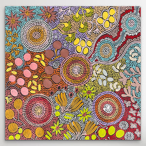 "Budgerigar Dreaming" Julieanne Turner Nungurrayi 61cm x 60cm