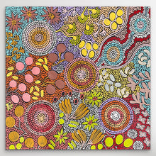 Load image into Gallery viewer, "Budgerigar Dreaming" original Aboriginal painting by Julieanne Turner Nungurrayi, 61cm x 60cm - authentic Indigenous Australian artwork
