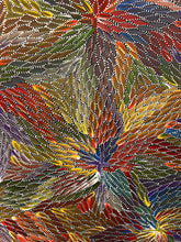 Load image into Gallery viewer, &quot;Bush Medicine Leaves&quot; Bernadine Johnson Kemarre 145cm x 94cm
