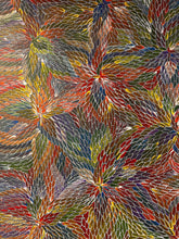 Load image into Gallery viewer, &quot;Bush Medicine Leaves&quot; Bernadine Johnson Kemarre 145cm x 94cm
