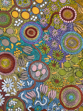 Load image into Gallery viewer, &quot;Budgerigar &amp; Bush Tucker&quot; Julieanne Nungurrayi Turner 146cm x 99cm
